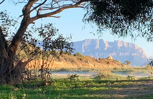 La Marina Apartment with Pool - Foto 36