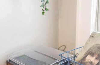 Quaint Indy Getaway in SoBro-Family Friendly - Foto 29