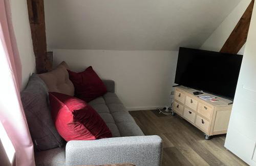 Ferienappartments Nähe Schweiz - Foto 35