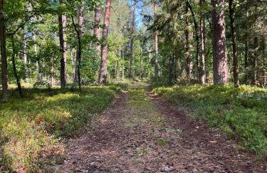 Wiluki Nasz Dom - Foto 37