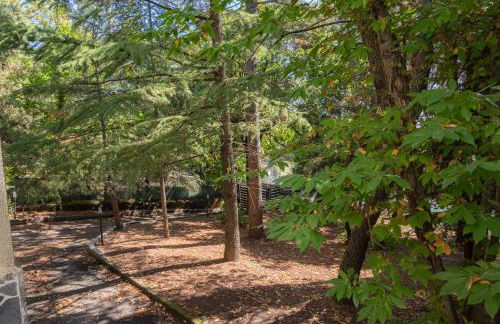 LN ETNA HOUSE-villa ad uso esclusivo - Foto 47