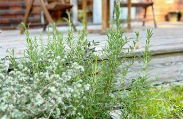 House With Private Jetty On Neversdorfer See - Foto 33