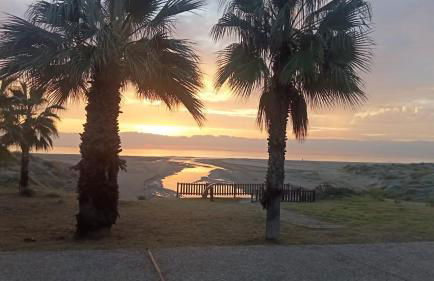 Apartamento Playa Pinar Golf - Photo 21