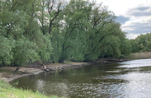 Ferienwohnung mit Sauna und Meditationsangebot - Foto 17