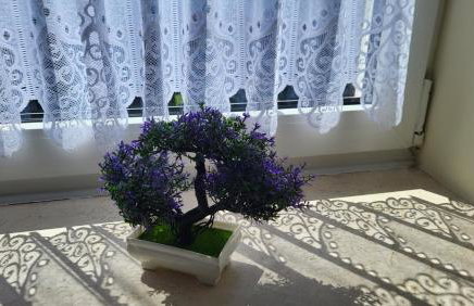 Apartament Jeździecki Leszno - Foto 21