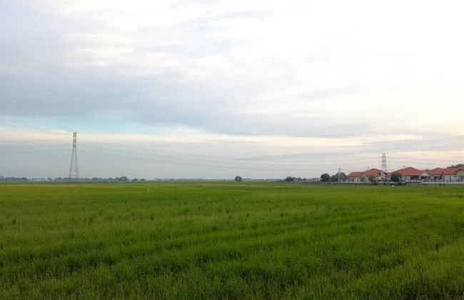 KKP Homestay Alor Setar - Photo 23