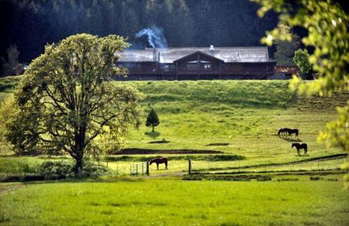 Secluded Country Retreat for Four on the Umpqua River in Oregon - Foto 3