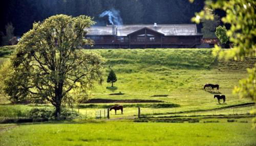 Secluded Cabin Rental on a Ranch in Oregon's Coastal Mountains - Foto 3