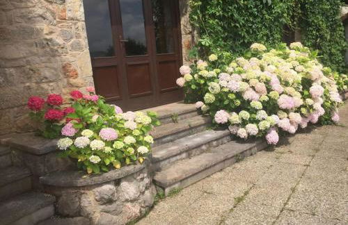 La Costana - San Cucao de Llanera - Foto 34