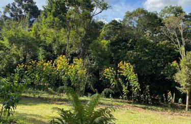 Cabana Vale Matutu - Foto 30