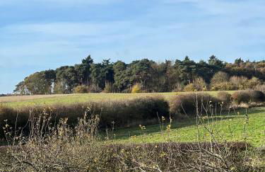 Plover House - Photo 39