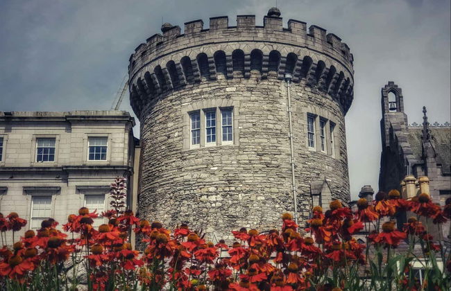 Trinity College Library, Book of Kells & Dublin Castle Tour - Photo 4
