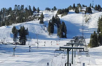 Treehouse Cottage - Foto 22