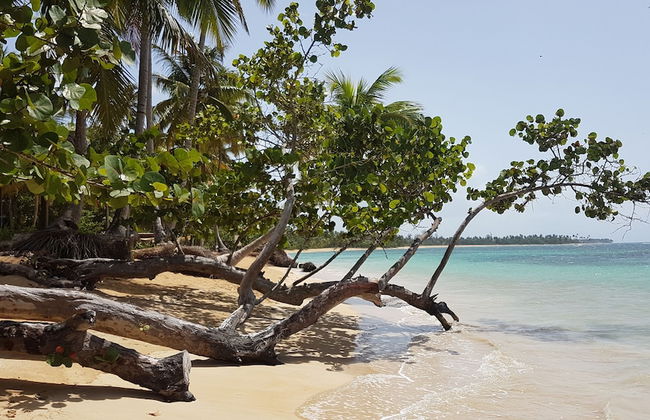 Las Terrenas Townhouse with Private Beach - Foto 12