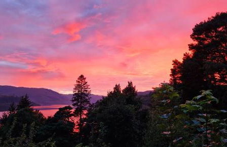 Ronaldsay Log Cabin - Photo 2