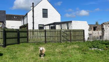 Cozy 2 bedroom cottage with log burner close to Loch Ken - Foto 5, Garden