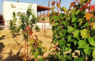 Ilios - country house - Photo 38