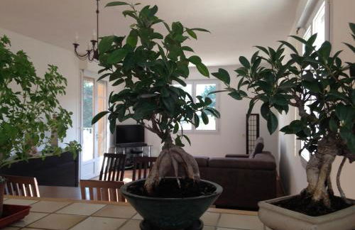 Appartement Salvaterra - Foto 61