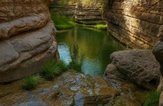 Casa el Escalerón, #ExperienciasRurales - Foto 70