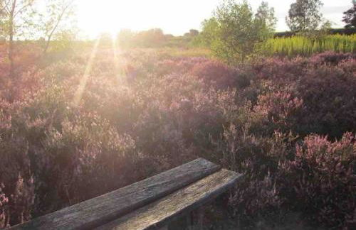 Haus Sonnenschein - Foto 30