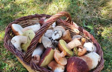 Allotjaments Vall de Muntanyes - Foto 25