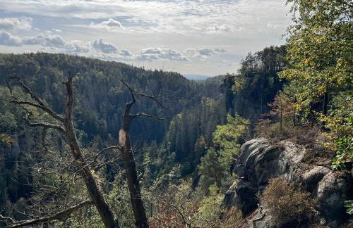 Ferienwohnung mit Schlösserblick in Dresden I große Dachterrasse I Parkplatz kostenfrei - Foto 38