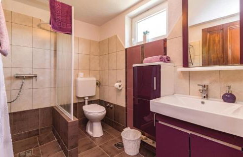 Holiday Home Manjadvorci Manjadvorci - Foto 32