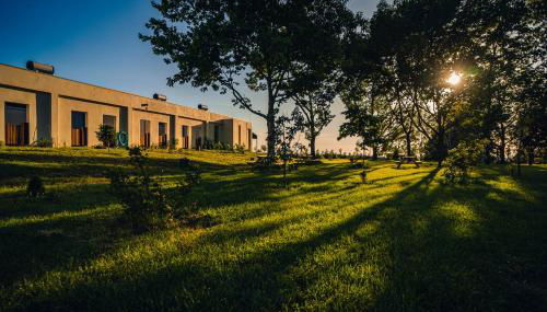 Quinta Chão da Bispa - Foto 4, Garden, Garden view