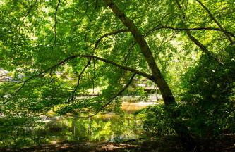 Riverfront Home - Kayak & Fishing - 6 mins Mentone - Photo 47