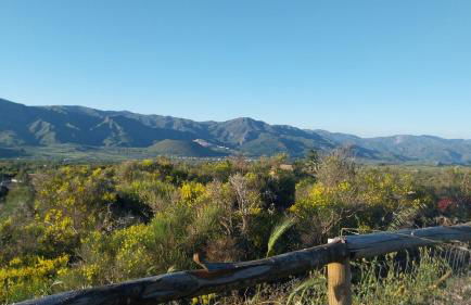 Il Calice dell'Etna - Foto 17