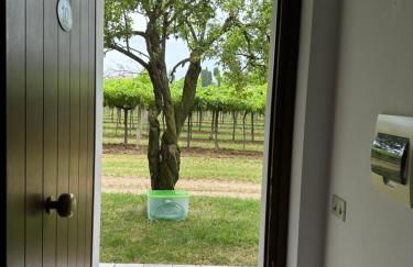 Agriturismo Fioravante di Fioravante Antonio - Foto 36