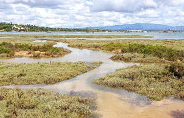 Alvor Beach Apartment - Photo 18