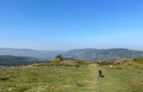 The Old Sweet Shop - Photo 48