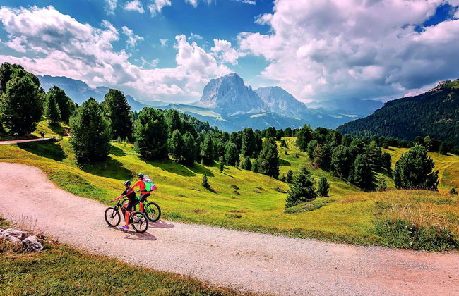 Progress Country & Wine House - Foto 34