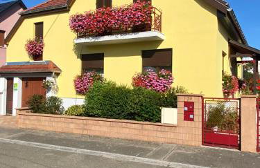 ALSACE Gîte 3étoiles climatisé prox Colmar, Eguisheim, parking, jardin - Foto 3