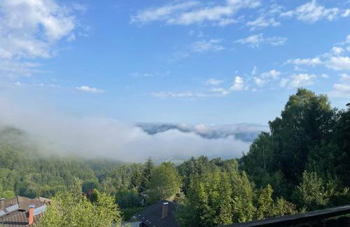 Urlaubsstube1982 - wildromantisch mit Kamin und rustikalem Charme - Foto 5