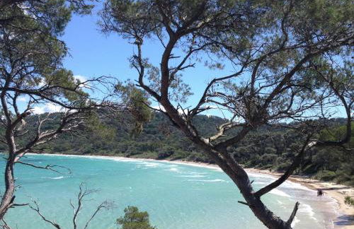 Lou Romarin - Photo 31