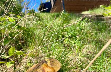 Widokówka Zacisze - Foto 24