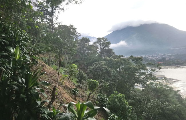 Pink house - Foto 10