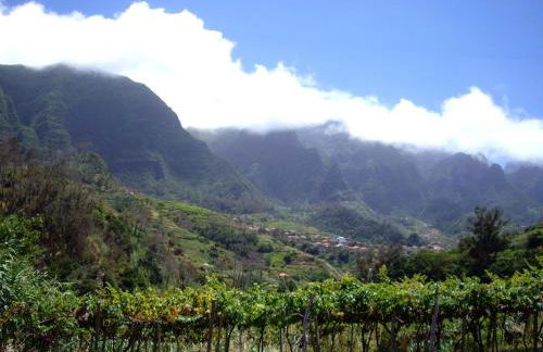 Holidays Madeira - Foto 11