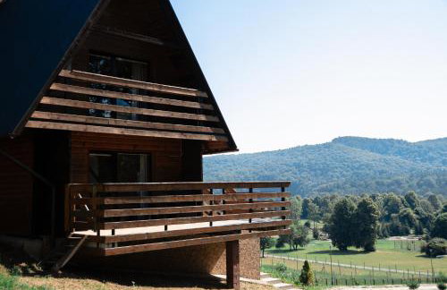 Ośrodek Wczasów Zdrowotnych Rudawka Rymanowska - Foto 59