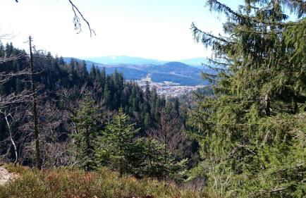 Ferienhaus Schachtenbach - Foto 14