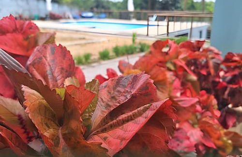 Refugio Aldeia dos Camarás - Foto 42