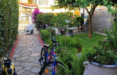 SOLMAR HOUSE - Photo 2