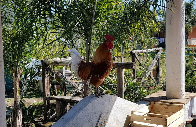 Original Sicily House - Foto 60