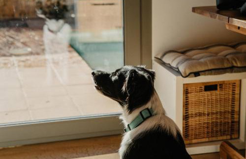 Empordà Soul, casa rural moderna con piscina - Foto 46