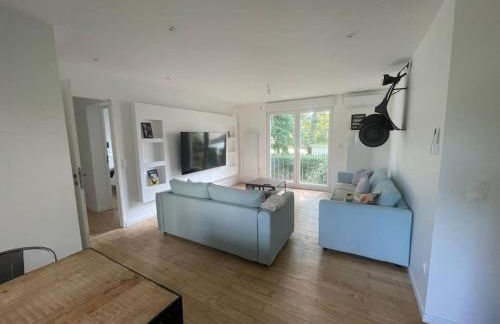 Olivier du ciel ODC - Photo 16