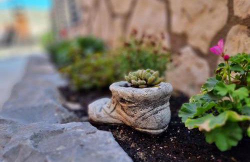 Apartment Gajo with swimming pool near Split - Photo 18