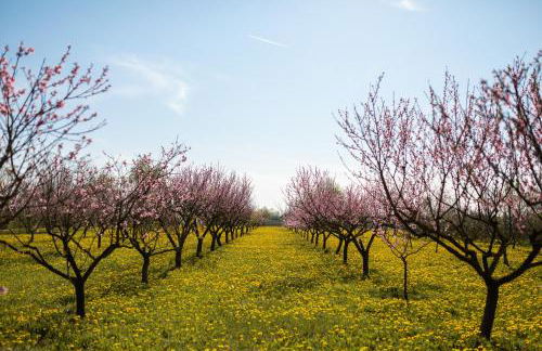 Agriturismo Casa Fiorindo - Foto 22