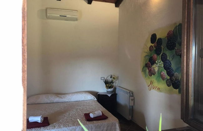 Sa Tanchitta - Foto 6